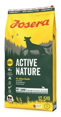 Josera Active Nature igat tõugu aktiivsetele koertele koos kodulindudega, 12,5 kg hind ja info | Kuivtoit koertele | kaup24.ee