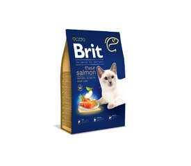 Brit Premium Cat Adult Salmon сухой корм для кошек, 0,3 кг цена и информация | Сухой корм для кошек | kaup24.ee