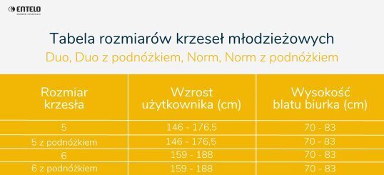 Töötool Norm Storia 29, roheline цена и информация | Kontoritoolid | kaup24.ee