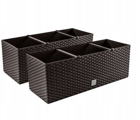 Pottide/tribade komplekt Prosperplast, 2 tk, 51,5 x 19,5 x 18,5 cm, pruun hind ja info | Dekoratiivsed lillepotid | kaup24.ee