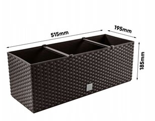 Pottide/tribade komplekt Prosperplast, 2 tk, 51,5 x 19,5 x 18,5 cm, pruun hind ja info | Dekoratiivsed lillepotid | kaup24.ee