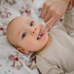 Silikoonist hambahari-masseerija beebidele BabyOno, 2 tk hind ja info | Suuhügieen | kaup24.ee