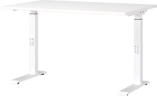 Письменный стол 7910, белый цена и информация | Компьютерные, письменные столы | kaup24.ee