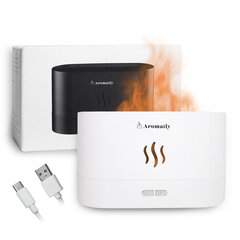 Диффузор Aromatly Flame цена и информация | Увлажнители воздуха | kaup24.ee