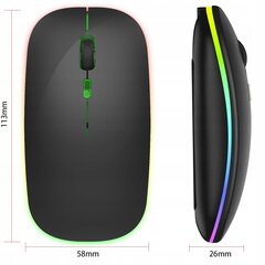 Беспроводная компьютерная мышь LTC M300 цена и информация | Мыши | kaup24.ee