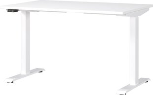 Письменный стол 7907, белый цена и информация | Компьютерные, письменные столы | kaup24.ee