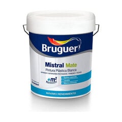 Краска Bruguer 5586672 Белый 15L цена и информация | Краска | kaup24.ee