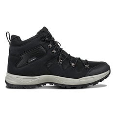 Ботинки мужские Icepeak ANSIO, черный цвет цена и информация | Мужские ботинки | kaup24.ee