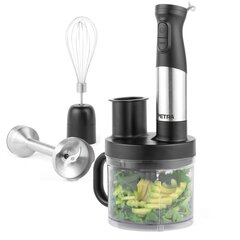 Petra PT5877VDE 5 in 1 Blender Set цена и информация | Блендеры, измельчители | kaup24.ee