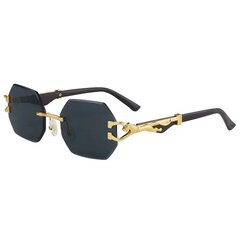Классические очки в леопардовом стиле цена и информация | Женские солнцезащитные очки | kaup24.ee
