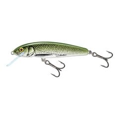 Lant Salmo Minnow 7S OLB hind ja info | Landid, voblerid | kaup24.ee