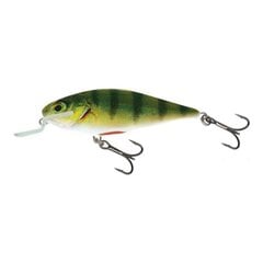 Lant Salmo Lure Executor SR RPH hind ja info | Landid, voblerid | kaup24.ee