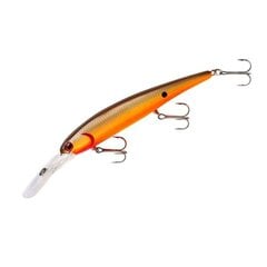 Lant Pradco Walleye Deep 95 11,9 cm/17,72g/3,6-8,1m. hind ja info | Landid, voblerid | kaup24.ee