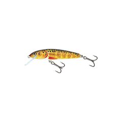 Lant Salmo Minnow 7F TRO hind ja info | Landid, voblerid | kaup24.ee