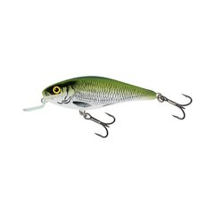 Lant Salmo Lure Executor SR OLB hind ja info | Landid, voblerid | kaup24.ee