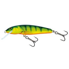 Воблер Minnow 6S 6cm/6g/1.0-1.5m HP цена и информация | Воблеры, приманки, блесны | kaup24.ee