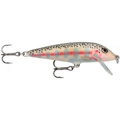 Lant CountDown Rapala hind ja info | Landid, voblerid | kaup24.ee