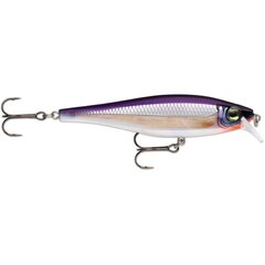 Lant BX Minnow hind ja info | Landid, voblerid | kaup24.ee