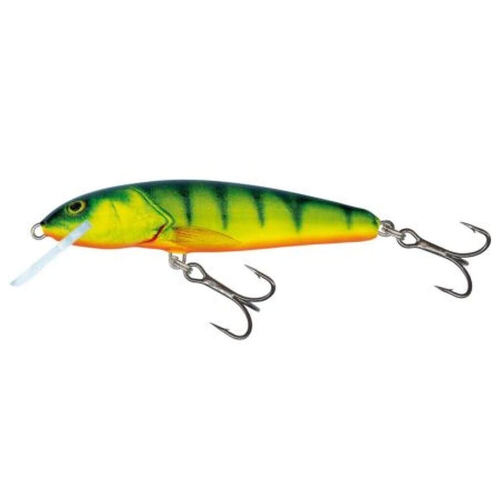 Lant Salmo Minnow 7S HP hind ja info | Landid, voblerid | kaup24.ee