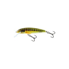 Lant Salmo Minnow 5F HRM hind ja info | Landid, voblerid | kaup24.ee