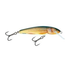 Воблер Minnow 7S 7cm/8g/1.5-2.0m RR цена и информация | Воблеры, приманки, блесны | kaup24.ee