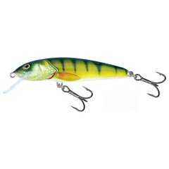 Воблер Minnow 9F 9cm/10g/0.8-1.2m PH цена и информация | Воблеры, приманки, блесны | kaup24.ee