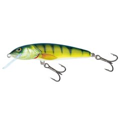 Lant Salmo Minnow 9S PH hind ja info | Landid, voblerid | kaup24.ee