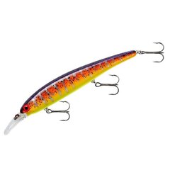 Lant Pradco Walleye Shallow D23 11,9cm/17,72g/1,2-3,6m. hind ja info | Landid, voblerid | kaup24.ee