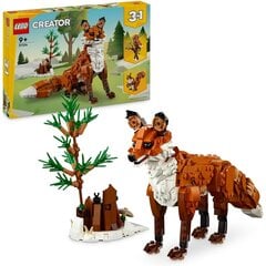 31154 LEGO® Creator Forest Animals Rebane, 667 tk hind ja info | Klotsid ja konstruktorid | kaup24.ee