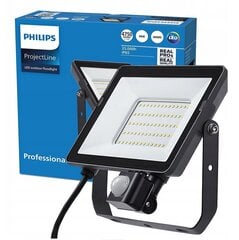 Halogeenlamp Philips, 1 tk. hind ja info | Aia- ja õuevalgustid | kaup24.ee