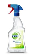 Dettol спрей антибактериальный для поверхностей, с ароматом лайма и мяты, 500 мл цена и информация | Очистители | kaup24.ee