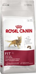 Royal Canin Fit, 400 g цена и информация | Сухой корм для кошек | kaup24.ee