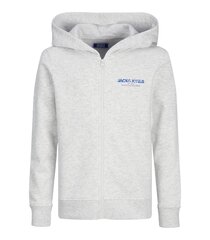 Детский свитшот Jack & Jones 12259856*01, светло-серый/wh 5715606045069 цена и информация | Свитеры, жилетки, пиджаки для мальчиков | kaup24.ee