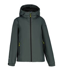 Icepeak детская куртка- софтшелл Kenosha 50017-5*585, зелёный 6438568163051 цена и информация | Куртки для мальчиков | kaup24.ee