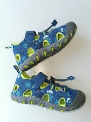 Спортивные сандалии для мальчика Loap, синие цена и информация | Детские сандали | kaup24.ee