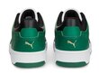 Rebound joy low puma meestele green 38074726 38074726 цена и информация | Spordi- ja vabaajajalatsid meestele | kaup24.ee