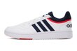 ADIDAS MEESTE JALATSID HOOPS 3.0 GY5427, valge, suurus 46 ⅔ GY5427_46_23 hind ja info | Spordi- ja vabaajajalatsid meestele | kaup24.ee