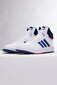 Adidas Juniors Hoops Mid 3.0 K GZ9647 suurus 38 ⅔ GZ9647_38_23 цена и информация | Laste spordijalatsid | kaup24.ee