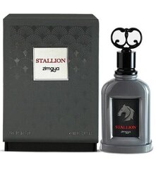 Parfüümvesi Stallion Zimaya EDP meestele, 100 ml hind ja info | Meeste parfüümid | kaup24.ee