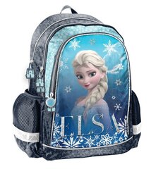 Школьный рюкзак Paso Disney Frozen, DF24RR-081 цена и информация | Школьные рюкзаки, спортивные сумки | kaup24.ee