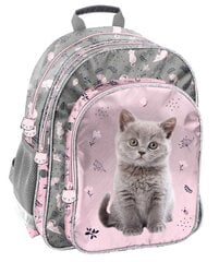 Школьный рюкзак Paso Cat, PP24CT-090 цена и информация | Школьные рюкзаки, спортивные сумки | kaup24.ee