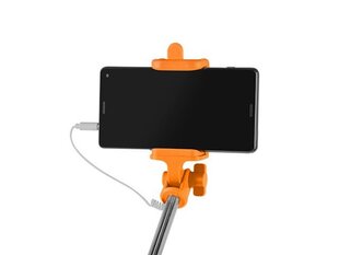 Natec NST-0983 цена и информация | Моноподы для селфи («Selfie sticks») | kaup24.ee
