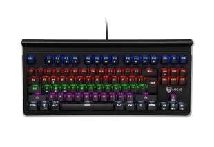 Liocat gaming keyboard KX 365+ C mechanical qwerty outemu blue black цена и информация | Клавиатуры | kaup24.ee