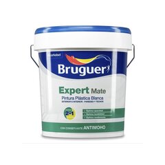 Краска Bruguer Expert 5208090, 15 л цена и информация | Краска | kaup24.ee