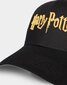 Harry Potter nokamüts kuldse logoga hind ja info | Poiste mütsid, sallid, kindad | kaup24.ee