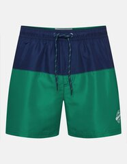 Ujumispüksid meestele Henderson 40780, erinevad värvid hind ja info | Ujumispüksid, shortsid | kaup24.ee