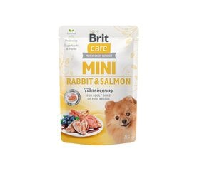 Brit Care Mini Rabbit&Salmon fillets in gravy märgtoit, väikest tõugu koertele, 85 g x 24 hind ja info | Konservid koertele | kaup24.ee