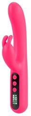 Vibraator You2Toys Pink Sunset Rabbit Vibe, roosa hind ja info | Vibraatorid | kaup24.ee