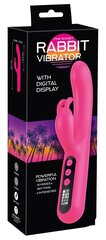 Vibraator You2Toys Pink Sunset Rabbit Vibe, roosa hind ja info | Vibraatorid | kaup24.ee