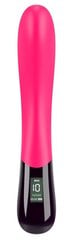 Вибратор You2Toys Pink Sunset G-Spot Vibe, розовый цена и информация | Вибраторы | kaup24.ee